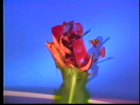 08 COMBO AUDIO   ROMANTICIDE