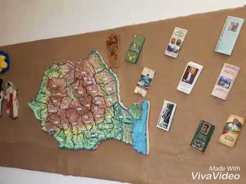 Scoala Gimnaziala Sinesti, Ialomita