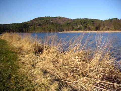 Cammy in perpetual motion