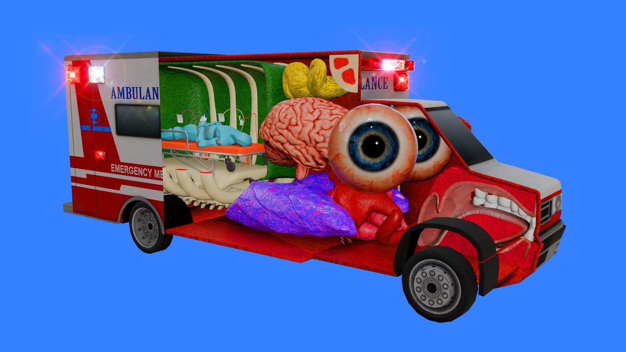 How an Ambulance works