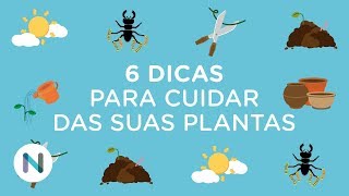 Miniatura do vídeo