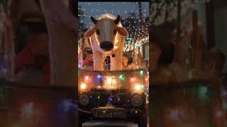 Download lagu Sapi Takbir Keliling Idul Adha 2025 Part 1#takbiran #takbirkeliling #iduladha2025 #shorts mp3