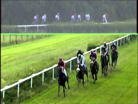 Galopprennbahn Dresden 14.06.2014 - 5. Rennen