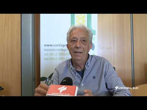 18 Maggio 2022   Lecce   Confagricoltura, serve più modernità e meno burocrazia