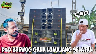 Download lagu Pagi Pagi Sudah Berulah Ontran Ontran Brewog Gank Lumajang Selatan  mp3