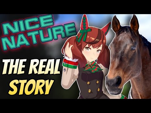 Not Just a Waifu: The Real Story of Uma Musume's Bronze Collector - Nice Nature