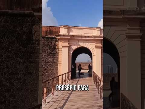 O Tamanho Impressiona! #belem #para # viagem