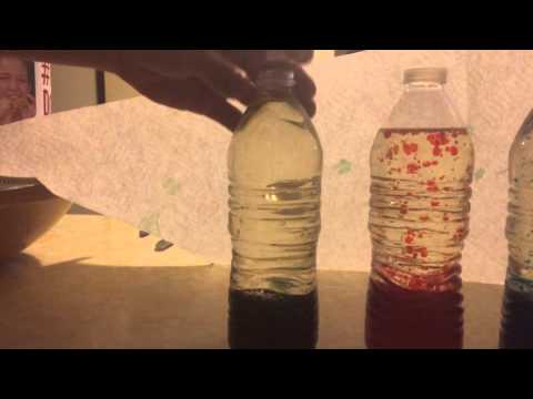 homemade lava lamp science experiment 2014