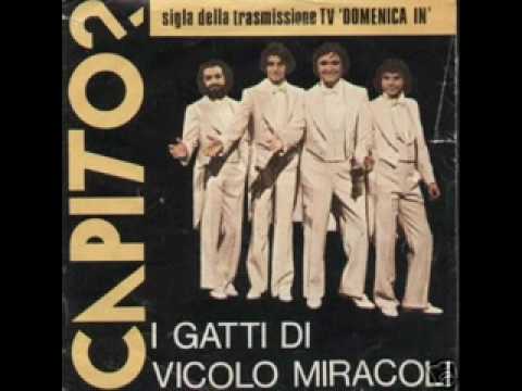 I Gatti Di Vicolo Miracoli - Capito