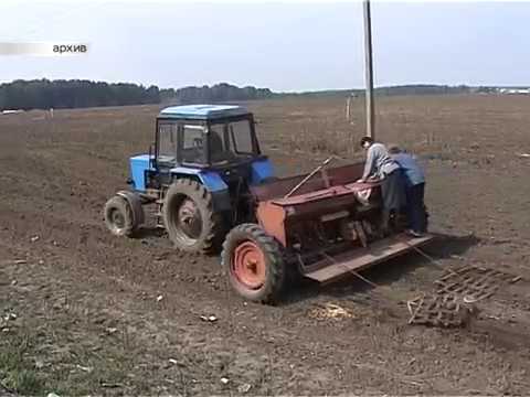 Посевная кампания в Курской области входит в активную фазу