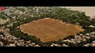 Aaya Re Thackeray | Thackeray | Nawazuddin Siddiqui &amp; Amrita Rao | Nakash Aziz | Rohan Rohan