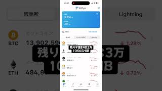 SHIBのくじら(大口投資家)になりたい#15