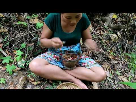 Catching crab & snake fried on clay for food - Cooking crab & snake eating delicious #28 Video