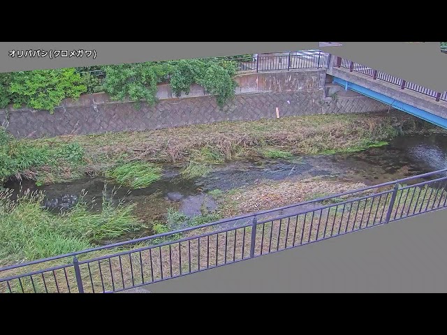 降馬橋映像監視局