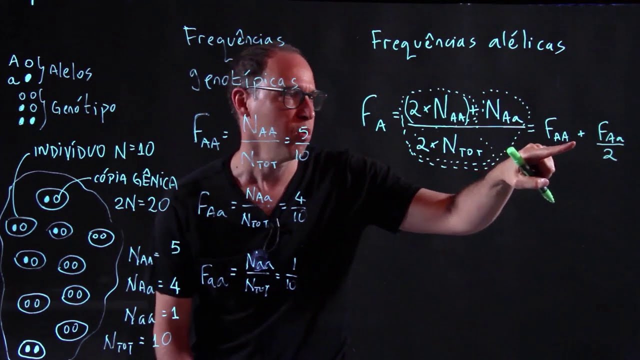 Frequências Alélicas e Genotípicas