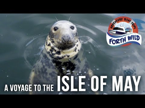 Forth Wild Isle of May Trip