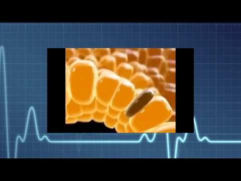 Bez uputnice - Davor Librenjak 11.12.2014.