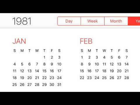 1981 Calendar