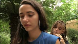 Al Mosquit Tigre ni una gota d'aigua