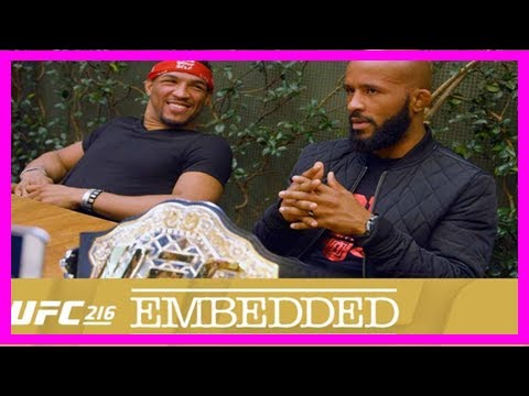 Breaking News | Video - ufc 216 embedded: vlog series - episode 3