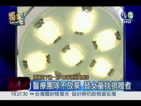 善心人捐骨髓 救血癌女童1命