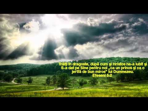 Sanctus Pro Deo - Daca dragoste avem