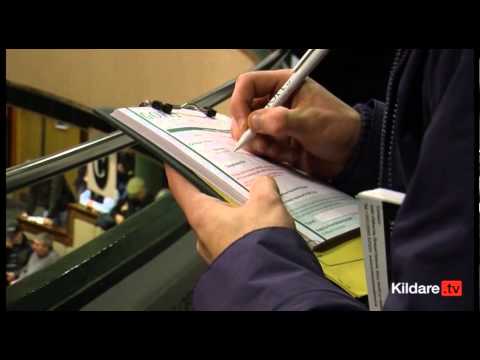 Goffs Sales - November Breeding Stock Sale