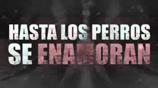 Los Perros Se Enamoran Remix LIRYC + AUDIO    Andy Rivera Ft Nicky Jam y Varios Artistas