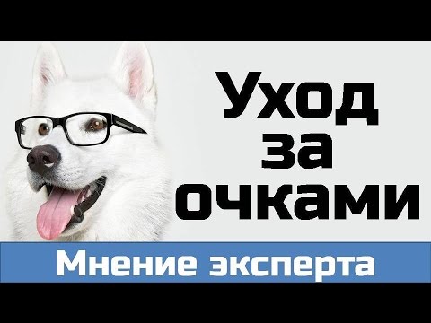 Как ПРАВИЛЬНО ухаживать за очками. Как почистить очки? Чем протирать очки?