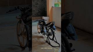 Download lagu story'wa cinematic Tiger herex #shorts mp3 Download lagu story'wa cinematic Tiger herex #shorts mp3