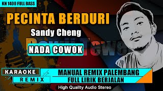 Download lagu PECINTA BERDURI_Sandy Cheng || KARAOKE REMIX PALEMBANG mp3