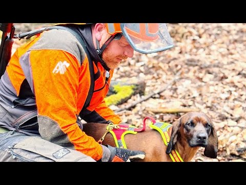 Kontrollsuche mit dem BGS Schorschi I HUNTERS MASTERCLASS