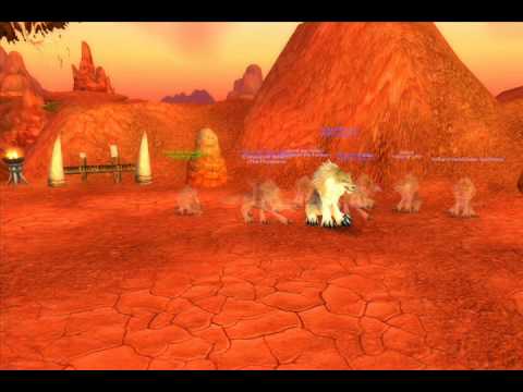 Half Naked Elemental Shaman Beats A Death Knight ~ 20% Skill
