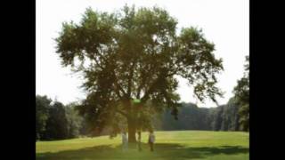 Earl Greyhound Bill Evans