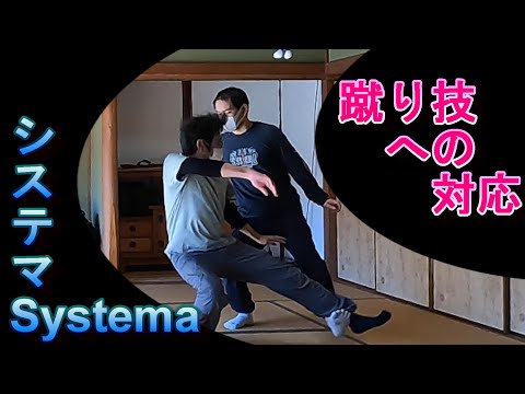 システマ：蹴り技への対応