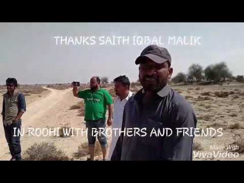 ROOHI DE RAANG 03446168656