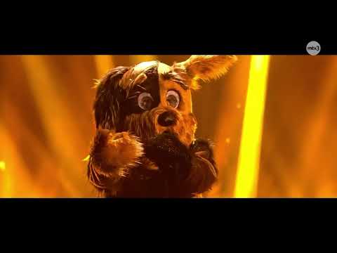 Kulkukoira sings “Rise like a Phoenix” by Conchita Wurst | The Masked Singer Suomi | Season 7