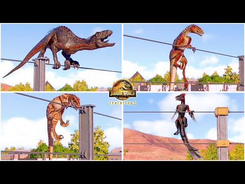 Climbing the Fences Animations of Small and Hybrid Dinosaurs 🦖 Jurassic World Evolution 2 - JWE