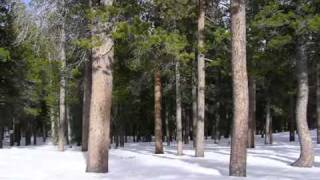 winter snow, aspenglow