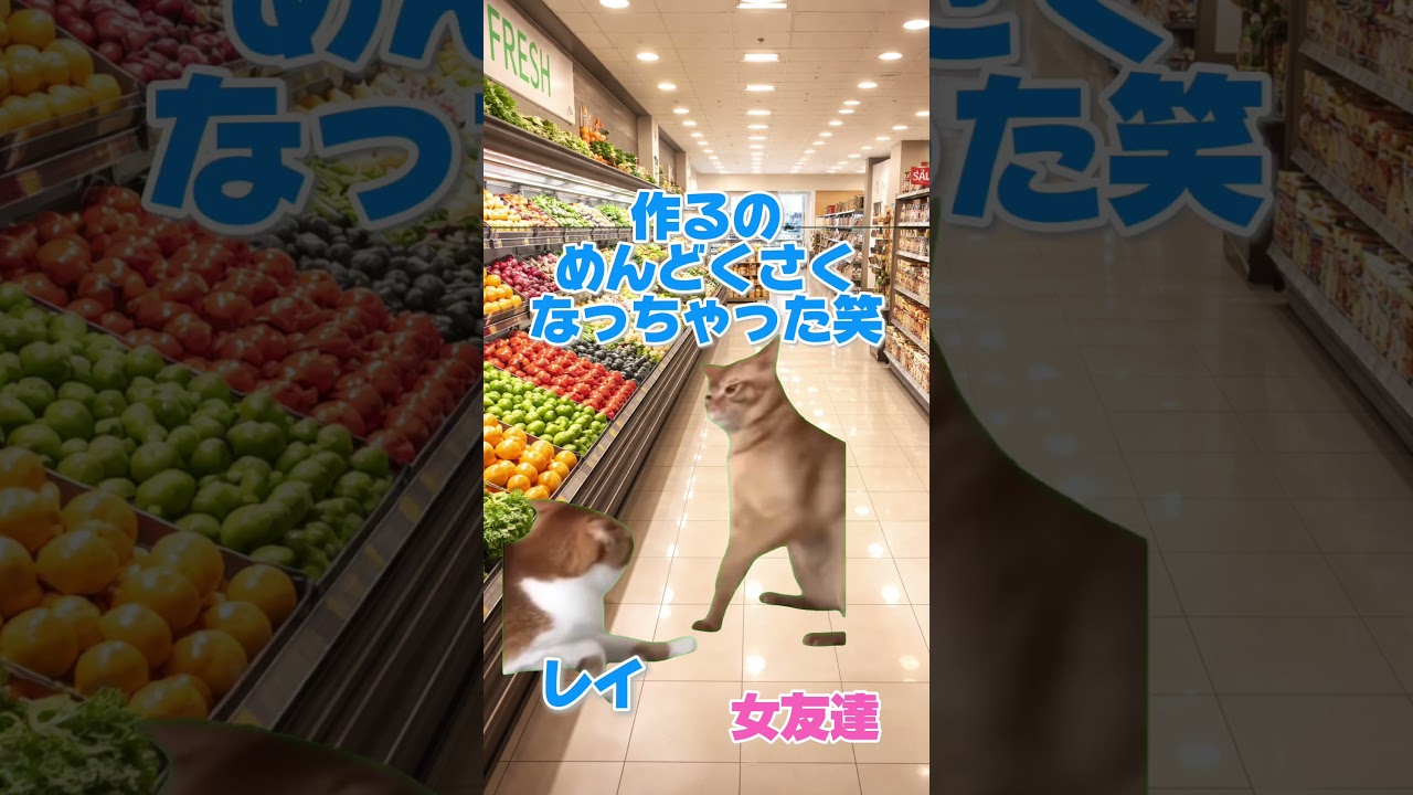 今の嫁を選んだ理由　#猫ミーム　#猫 #ネコ