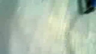 volviendo a casa con sol