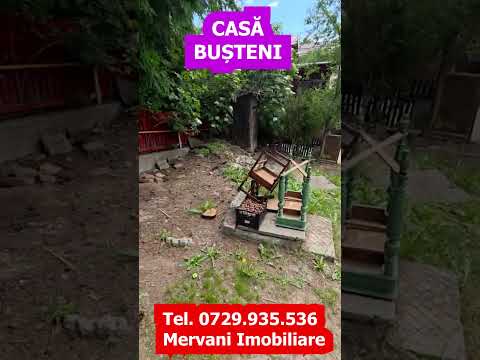 Casa batraneasca cu teren de vanzare in Busteni — Video