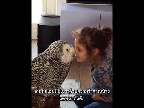 กอดสุดท้ายก่อนบินจากกัน