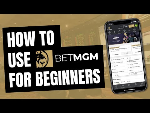 Where to Bet on MMA Fights