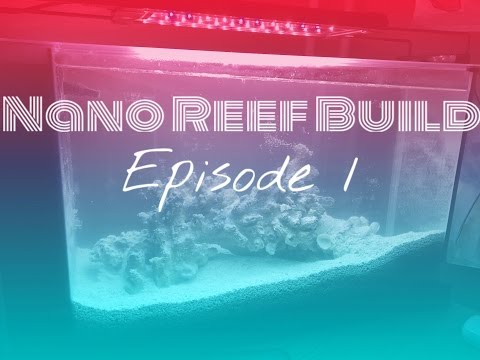 Nano Reef Build