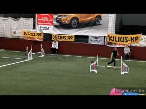 Akela Midi Csapat Országos Bajnokság 2020.10.17-18.