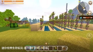 迷你世界生存实况 造下我们的小小农场