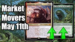 MTG Market Movers - May 11th - Commander Cards Rising Up! Velomachus Lorehold!