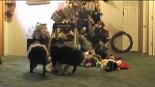 Christmas in Killarney.m4v