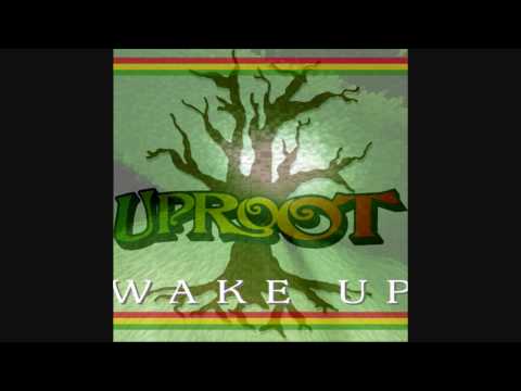 Play Video Youtube Video